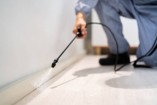 Licensed Termite Control service in Shenandoah Junction, WV - Nex Pest Control