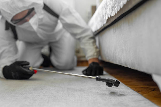 Professional Termite Control technician working in Shenandoah Junction, WV