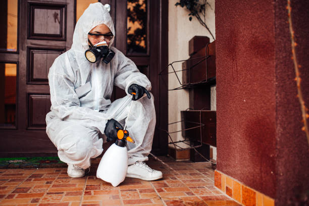 Reliable Termite Control contractor in Shenandoah Junction, WV by Nex Pest Control