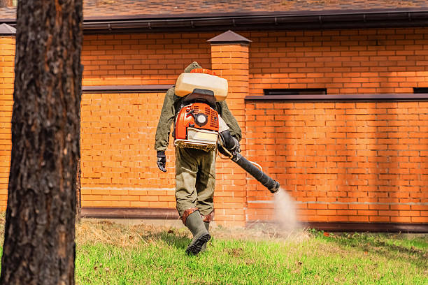 Trusted Rodent Control service in Shenandoah Junction, WV - Nex Pest Control